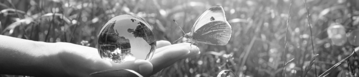 Environnement